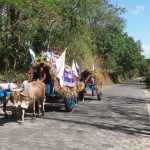 By ox cart to Popoyuapa